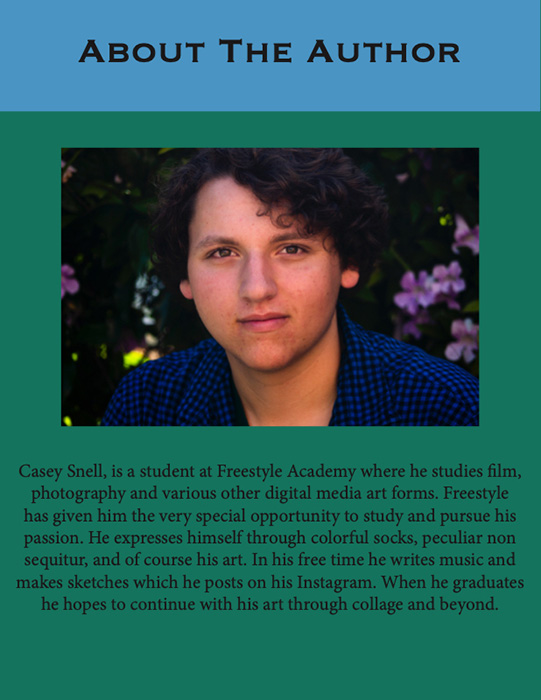 Article by Casey Snell
